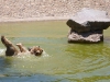 zoo5