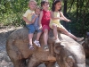 zoo9